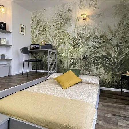Appartement Homey - Studio Bambou Serenite - Hyper Centre - Aux Portes De Geneve Annemasse