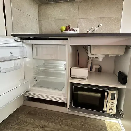 Appartement Homey - Studio Bambou Serenite - Hyper Centre - Aux Portes De Geneve Annemasse